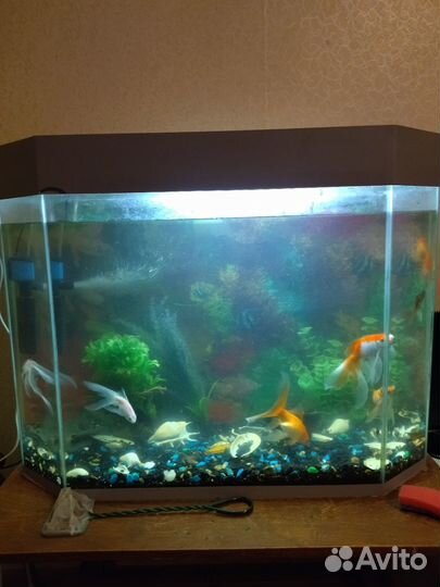Аквариум с тумбой бу