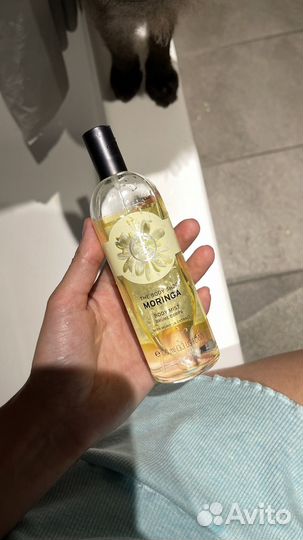 The body shop moringa