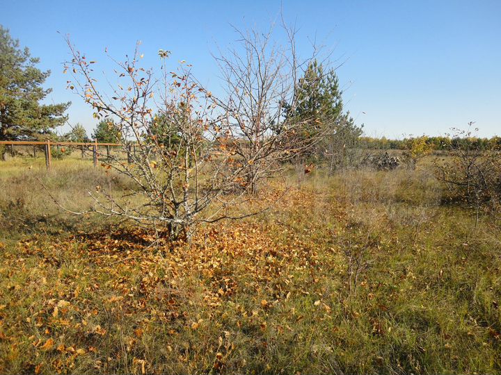 Участок 16,5 сот. (ИЖС)