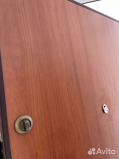 Дверь входная железная