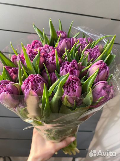 Букет из тюльпанов