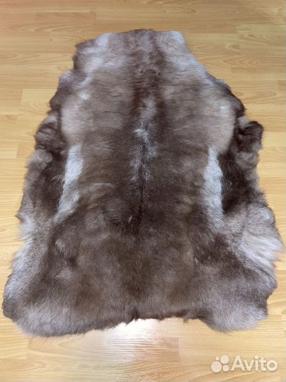 Шкура северного оленя