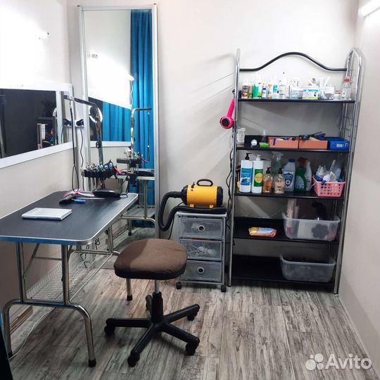 Груминг стрижка собак