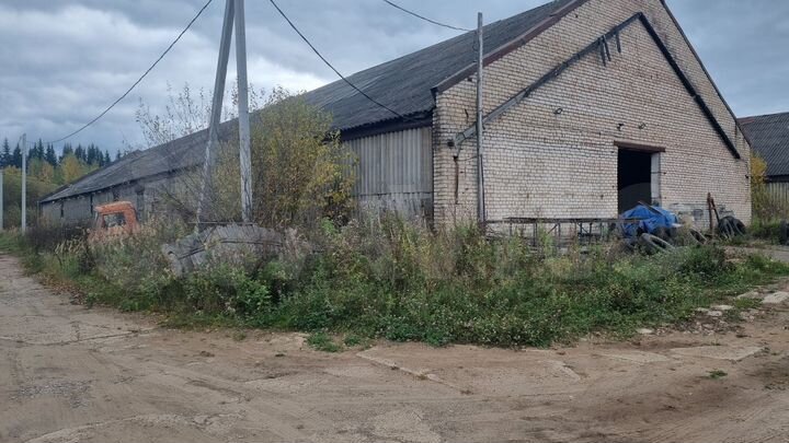 Производство, 250000 м²