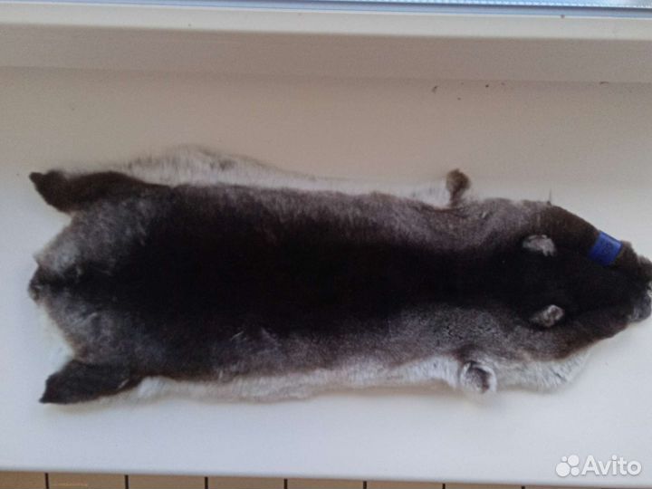 Шкурки шиншилла