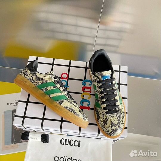 Adidas gazelle gucci