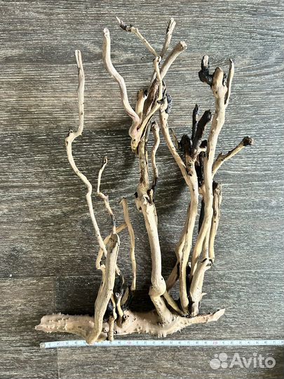 Корм сухой для аквариумной рыбы coppens vital