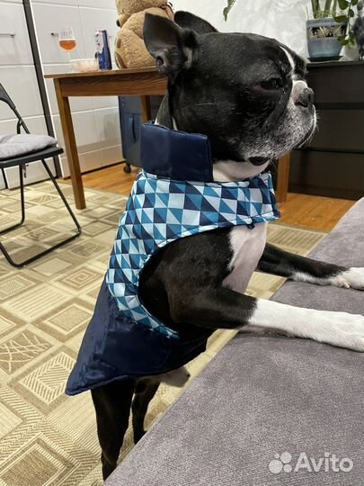 Жилетка для собак