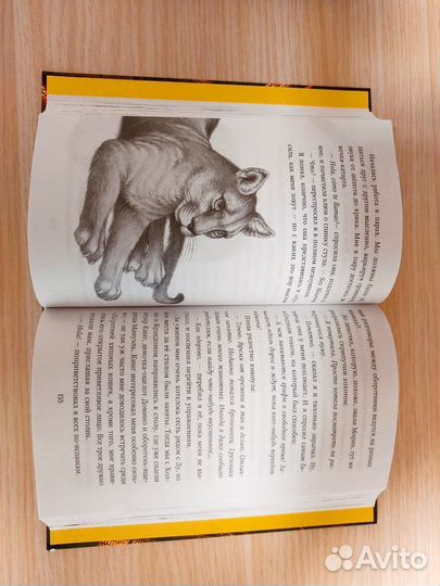 Дети леса,6 книг