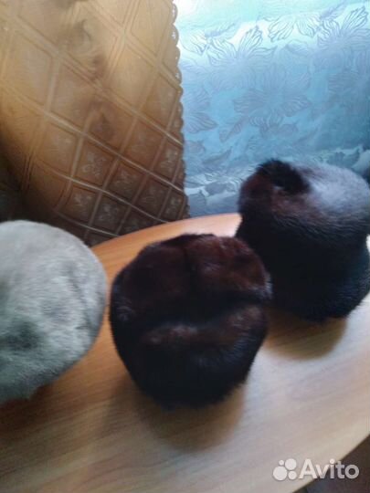 Мужская шапка норковая