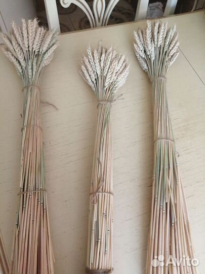 Сухоцвет пшеница