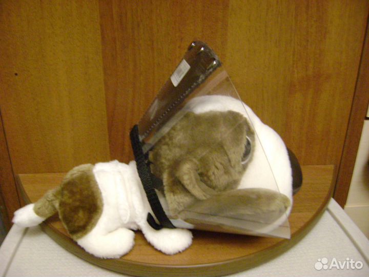 Воротник защитный для мелкого животного Колпино