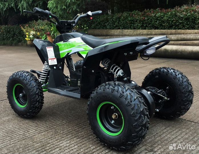 Детский квадроцикл Motax gekkon 1300W