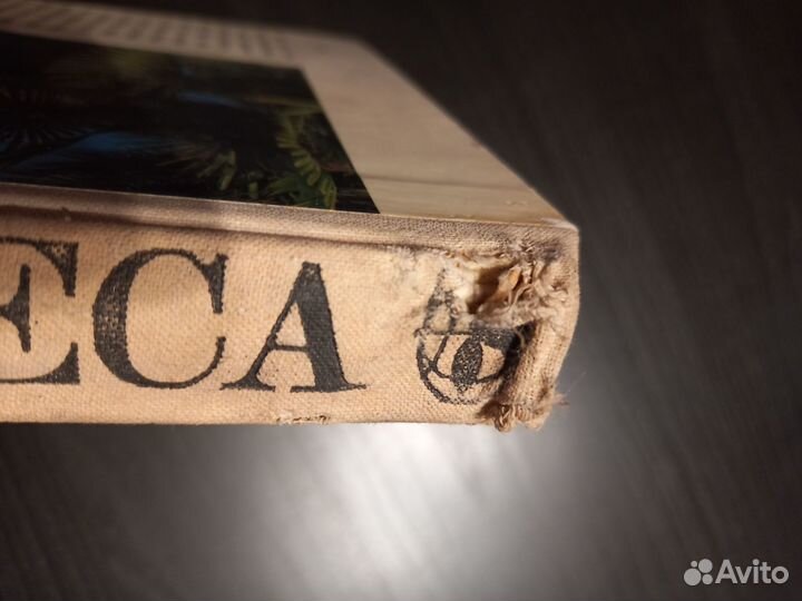 Энциклопедия Леса серия Природа Мира 1981 год