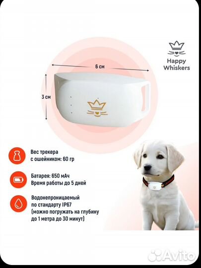 GPS трекер для собак и кошек, водонепроницаемый