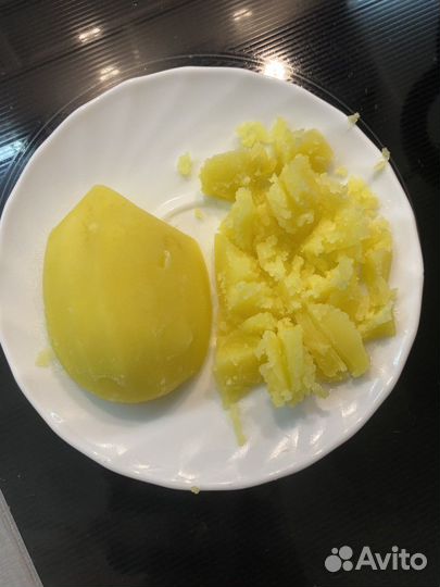 Картофель домашний