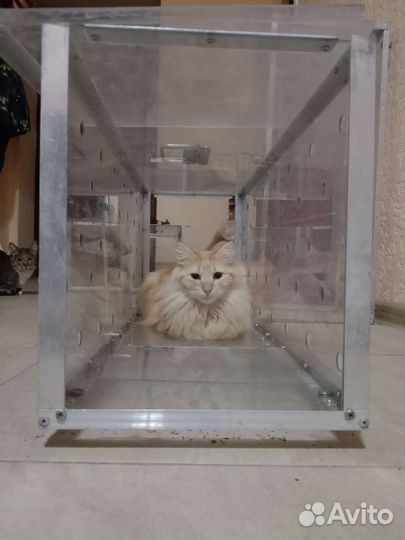 Котоловка в аренду