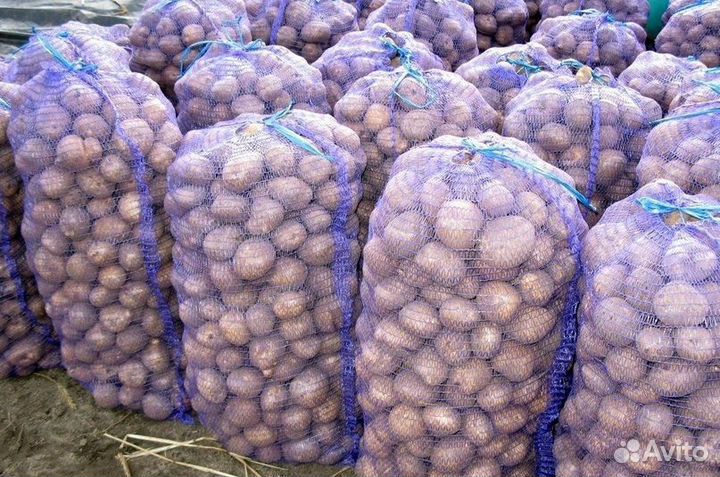 Картофель в сетках с доставкой