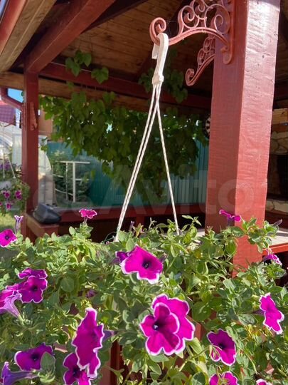 Дача 46,3 м² на участке 4,1 сот.