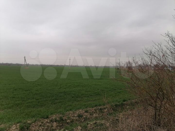 Участок 6,89 га (СНТ, ДНП)