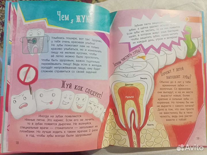 Энциклопедия о теле человека