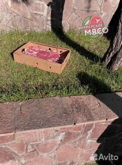 Мясо говядина