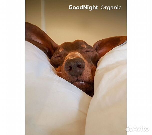 Постельное белье GoodNight Сатин Делюкс 1,5 сп. (с