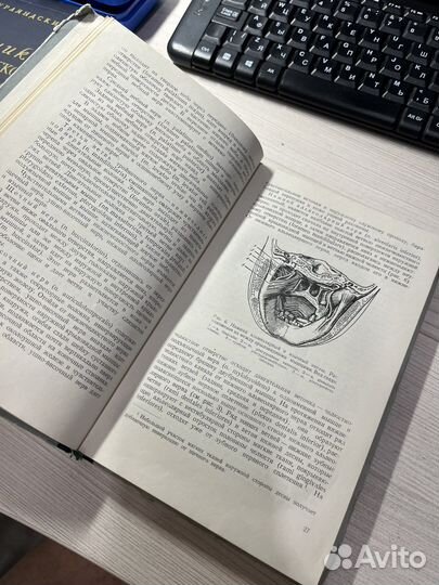 Хирургия зубов и полости рта 1952 Васильев