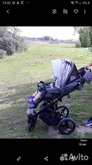 Коляска 2 в 1 adamex cortina