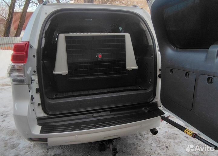 Перевозка домашних животных / больших собак/ зоота