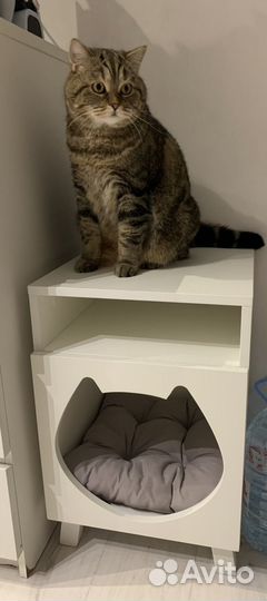 Тумба для кота