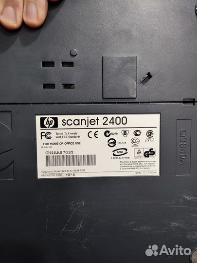 Сканер HP Scanerjet 2400