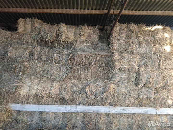 Сено в тюках