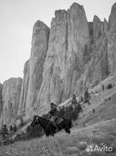 Гид Проводник Инструктор