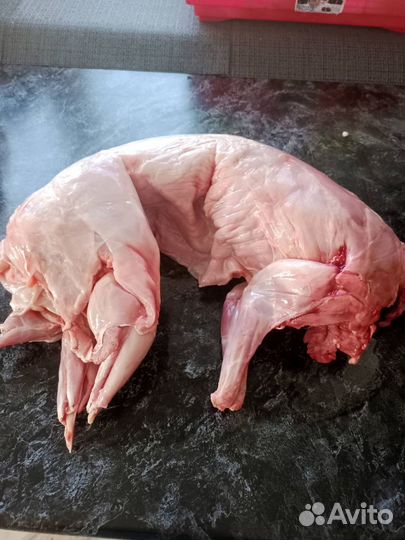 Тушка кролика