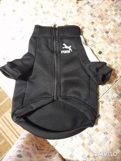 Толстовка для маленьких собак