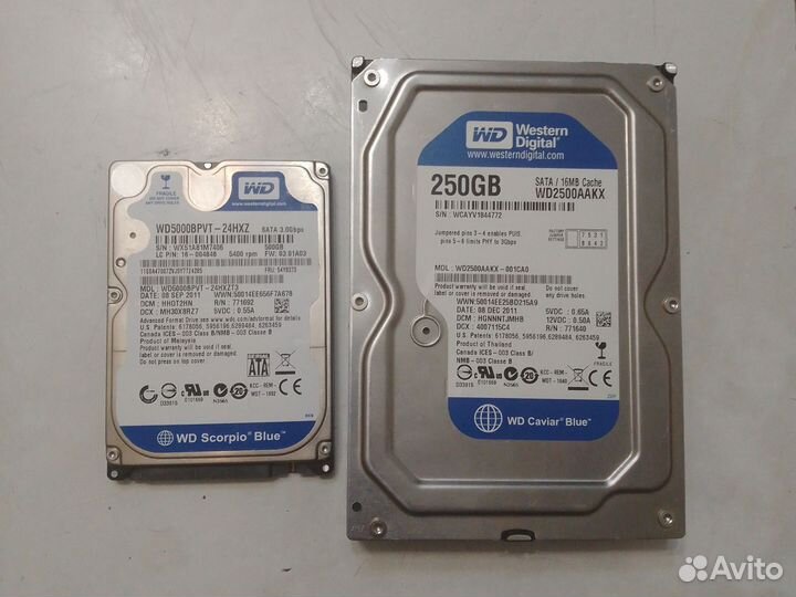 Жесткий диск