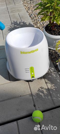 Катапульта для собак