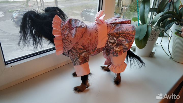 Дождевик для собачки (для девочки)