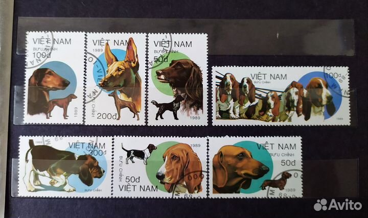 Почтовые марки иностранные времён СССР Собаки