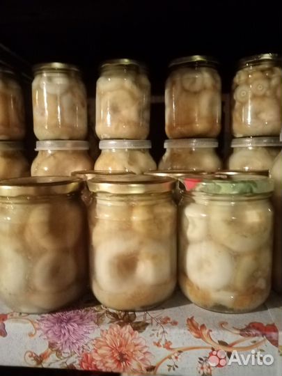 Грибы грузди соленые