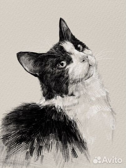 Портрет питомца животного на заказ по фото
