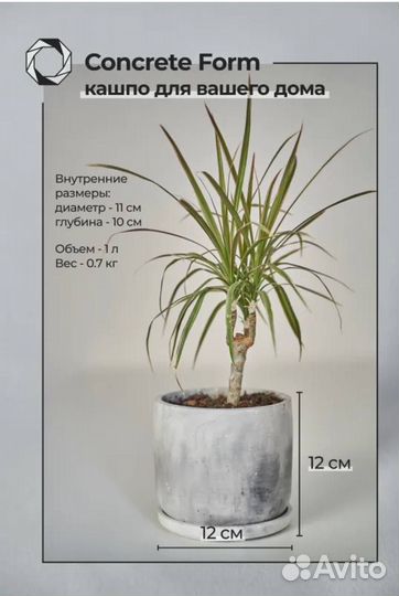 Горшок для цветов, Кашпо 12 см х 12 см х 12 см