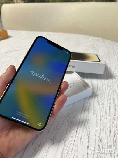 iPhone 12 Pro Max, 256 ГБ