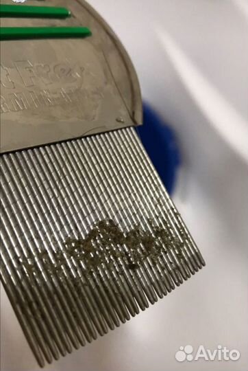 Гребень нитфри от педикулёза. Оригинал