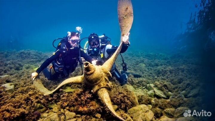 Дайвинг Сочи