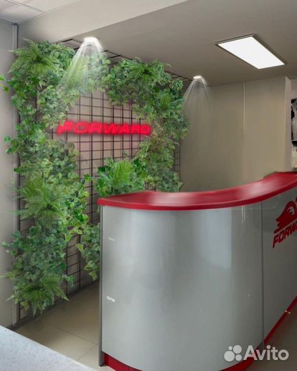 Озеленение интерьера