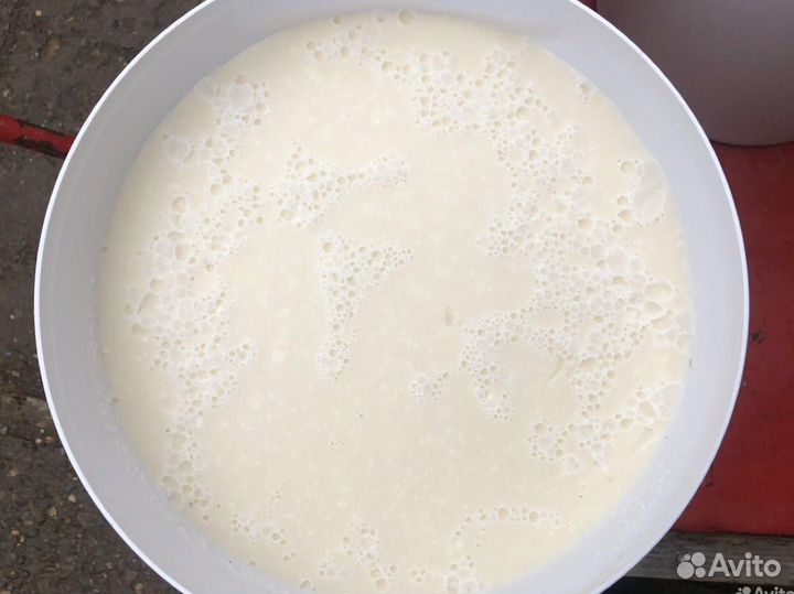 Мед чисто липовый оптом