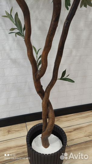 Искусственные деревья Олива, бонсай, бумбук