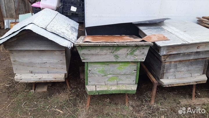 Улей для пчел бу